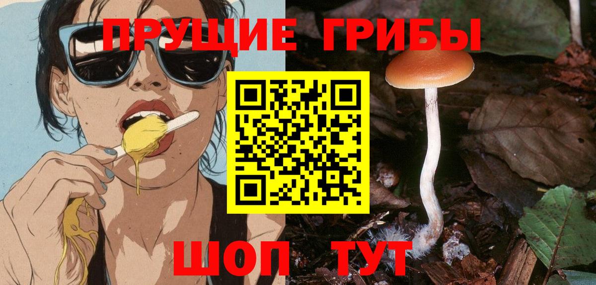 Советск  Галлюциногенные грибы мухоморы  Псилоцибиновые грибы Cubensis  как найти наркотики  Вход с VPN 
